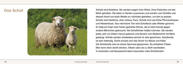 Produktbild: Ich kenne Waldtiere / Haus- und Hoftiere / Insekten und Spinnen - 3 Arbeitshefte im Set f&uuml;r die 2. bis 4. Klasse