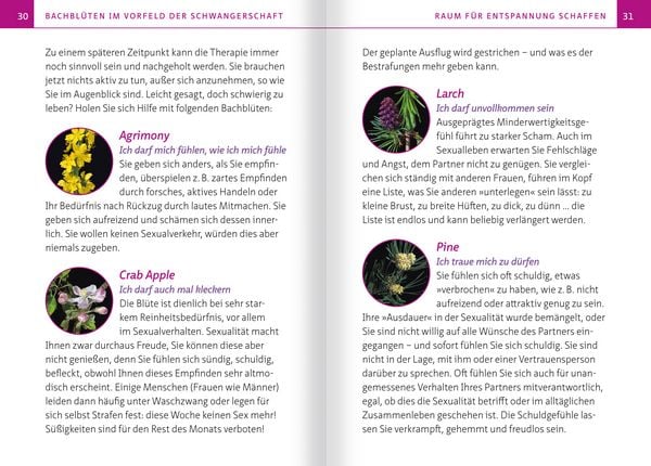Produktbild: Bachbl&uuml;ten in Schwangerschaft,Geburt und Stillzeit. Kompakt-Ratgeber