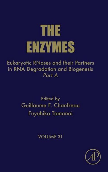 Produktbild: Eukaryotic RNases and their Partners in RNA Degradation and Biogenesis