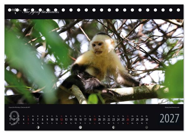 Produktbild: Costa Rica Blickwinkel 2027 (Tischkalender 2027 DIN A5 quer), CALVENDO Monatskalender