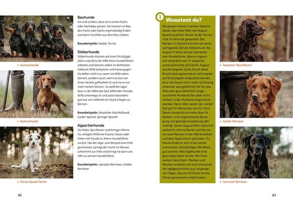 Produktbild: Das Jagdbuch f&uuml;r Kids