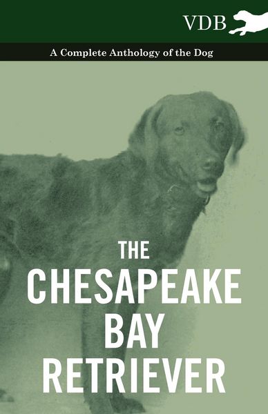 Produktbild: The Chesapeake Bay Retriever - A Complete Anthology of the Dog -