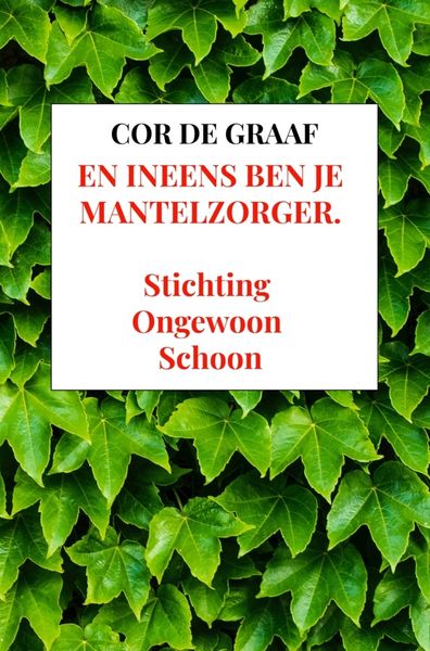 Produktbild: En ineens ben je mantelzorger.