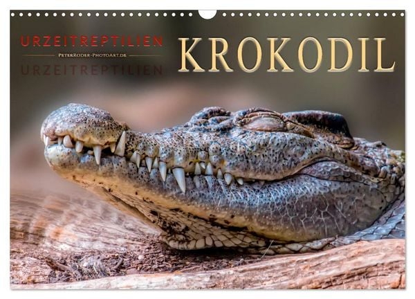 Produktbild: Urzeitreptilien - Krokodil (Wandkalender 2026 DIN A3 quer), CALVENDO Monatskalender