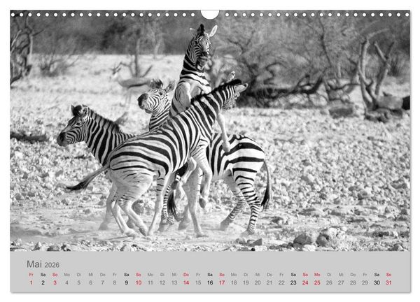Produktbild: Die Seelen der wilden Tiere (Wandkalender 2026 DIN A3 quer), CALVENDO Monatskalender