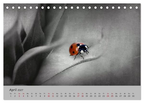 Produktbild: Gl&uuml;cksk&auml;fer (Tischkalender 2027 DIN A5 quer), CALVENDO Monatskalender