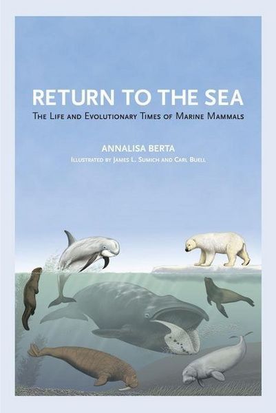 Produktbild: RETURN TO THE SEA