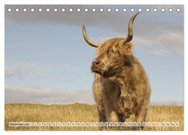 Produktbild: Gl&uuml;ckliche K&uuml;he auf saftigen Wiesen (Tischkalender 2026 DIN A5 quer), CALVENDO Monatskalender