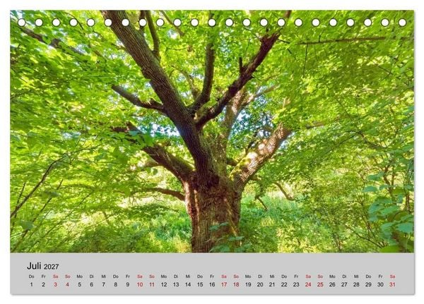 Produktbild: Biosph&auml;renreservat Schaalsee (Tischkalender 2027 DIN A5 quer), CALVENDO Monatskalender