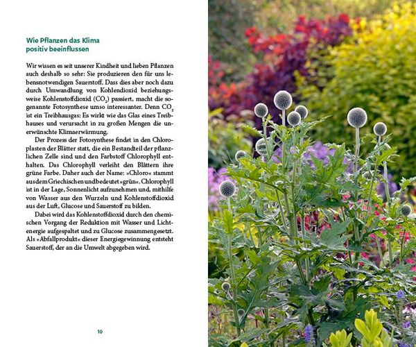 Produktbild: G&auml;rtnern im Wandel