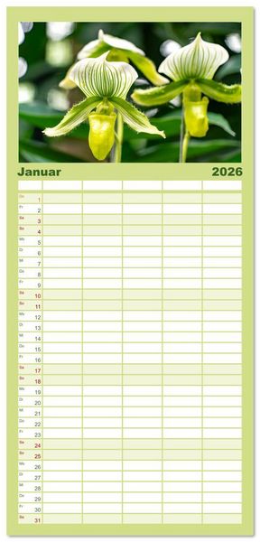 Produktbild: Familienplaner 2026 - Orchidaceae - Orchideen mit 5 Spalten (Wandkalender, 21 x 45 cm) CALVENDO