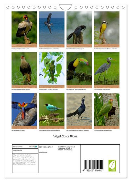 Produktbild: V&ouml;gel Costa Ricas (Wandkalender 2026 DIN A4 hoch), CALVENDO Monatskalender