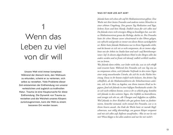 Produktbild: Bin ich traumatisiert?