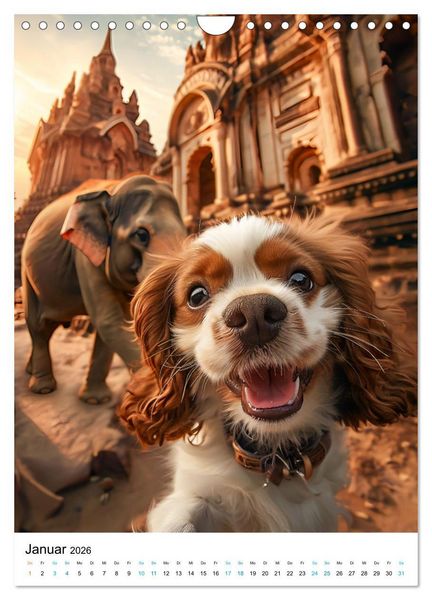 Produktbild: Cavalier King Charles Spaniel - Lustige Weltenreise im Selfie-Modus (Wandkalender 2026 DIN A4 hoch), CALVENDO Monatskalender