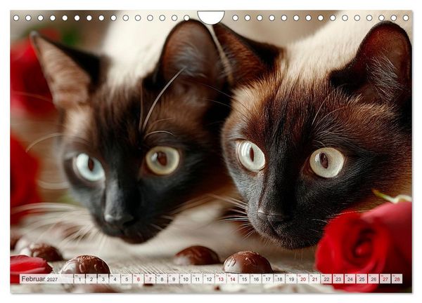 Produktbild: Katzen - Jeder Moment ein Abenteuer (Wandkalender 2027 DIN A4 quer), CALVENDO Monatskalender