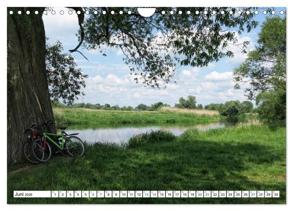 Produktbild: Ein Sommer im Havelland - Spaziergang entlang am Havelradweg (Wandkalender 2026 DIN A4 quer), CALVENDO Monatskalender