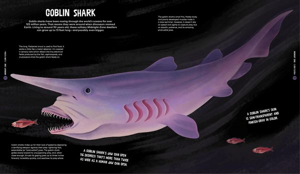 Produktbild: Beasts from the Deep