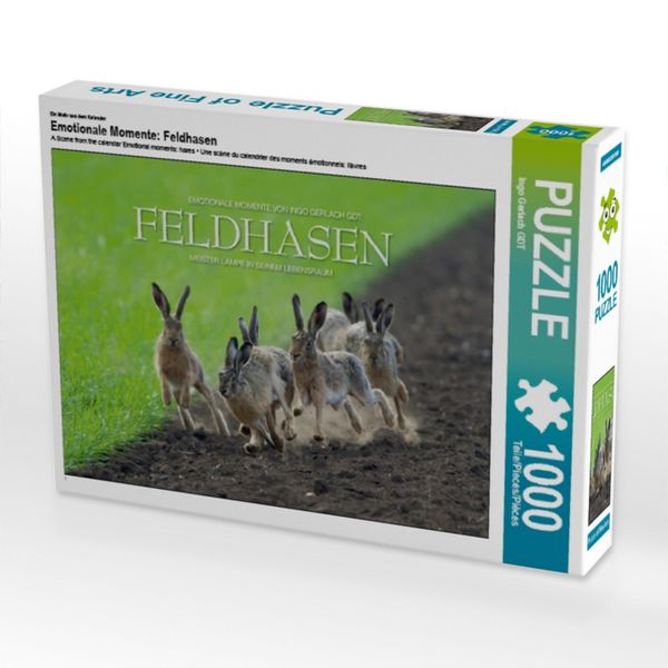 CALVENDO Puzzle Ein Motiv aus dem Kalender Emotionale Momente: Feldhasen | 1000 Teile Lege-Größe 64x48cm Foto-Puzzle für glückliche Stunden