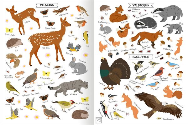 Produktbild: Naturforscher-Kids &ndash; Stickerheft Im Wald