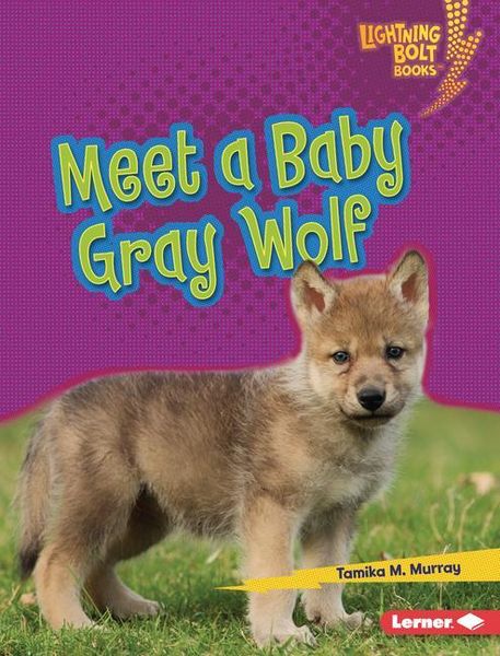Produktbild: Meet a Baby Gray Wolf