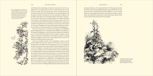 Produktbild: The Wild Garden