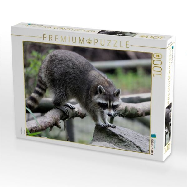 Produktbild: CALVENDO Puzzle Waschb&auml;ren | 1000 Teile Lege-Gr&ouml;&szlig;e 64x48cm Foto-Puzzle f&uuml;r gl&uuml;ckliche Stunden