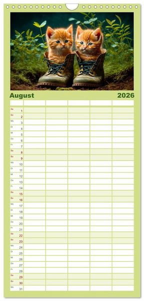 Produktbild: Familienplaner 2026 - Katzen Freunde mit 5 Spalten (Wandkalender, 21 x 45 cm) CALVENDO