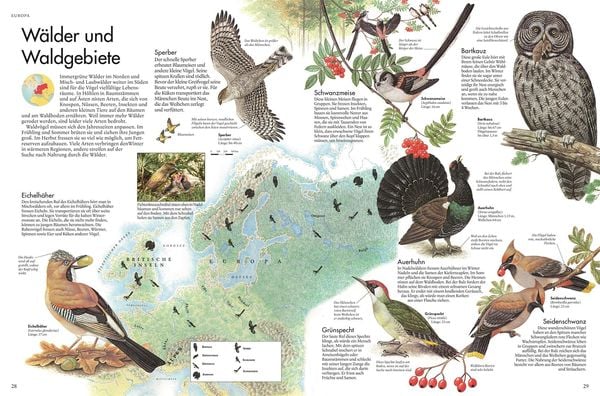 Produktbild: Atlas der V&ouml;gel