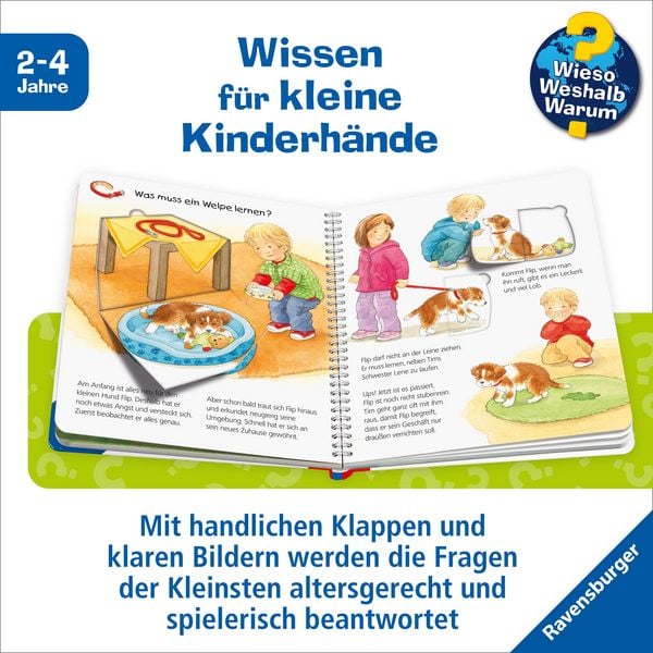 Produktbild: Wieso? Weshalb? Warum? junior, Band 41 - Mein Hund