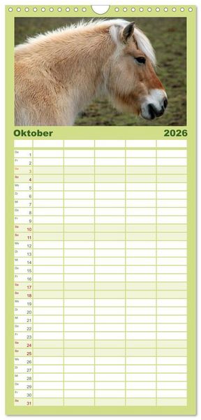 Produktbild: Familienplaner 2026 - Ponys. Herzensbrecher mit Grips mit 5 Spalten (Wandkalender, 21 x 45 cm) CALVENDO