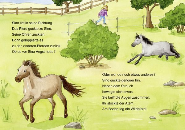 Produktbild: Lesel&ouml;wen 2. Klasse - Das verletzte Wildpferd