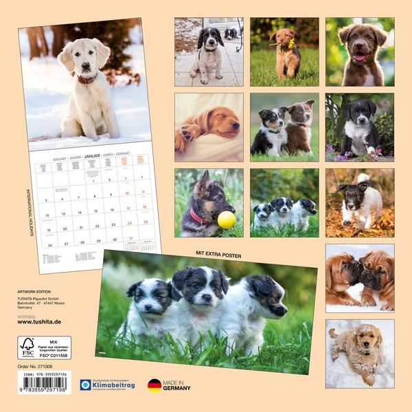 Produktbild: Hundewelpen / Puppy Dogs 2027