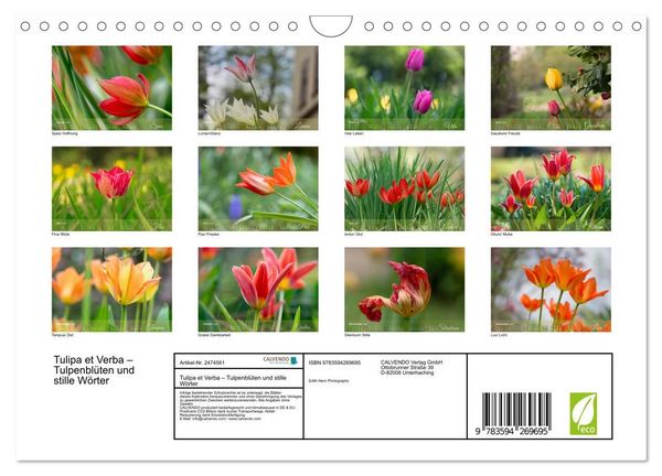 Produktbild: Tulipa et Verba &ndash; Tulpenbl&uuml;ten und stille W&ouml;rter (Wandkalender 2027 DIN A4 quer), CALVENDO Monatskalender