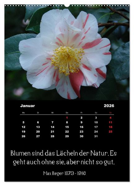 Produktbild: Spr&uuml;che und Zitate ber&uuml;hmter Personen &uuml;ber Blumen und Natur (hochwertiger Premium Wandkalender 2026 DIN A2 hoch), Kunstdruck in Hochglanz