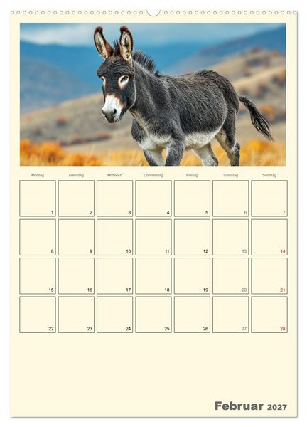 Produktbild: Eselmomente. Natur, Freiheit und Charakter (Wandkalender 2027 DIN A2 hoch), CALVENDO Monatskalender