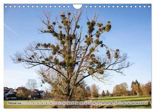 Produktbild: Ins Land der Franken fahren (Wandkalender 2026 DIN A4 quer), CALVENDO Monatskalender