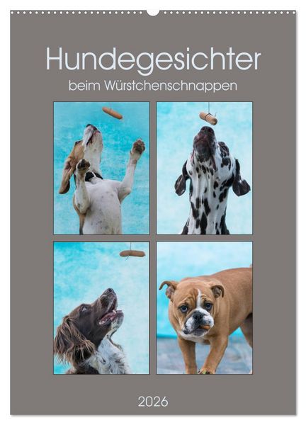 Produktbild: Hundegesichter beim W&uuml;rstchenschnappen (Wandkalender 2026 DIN A2 hoch), CALVENDO Monatskalender