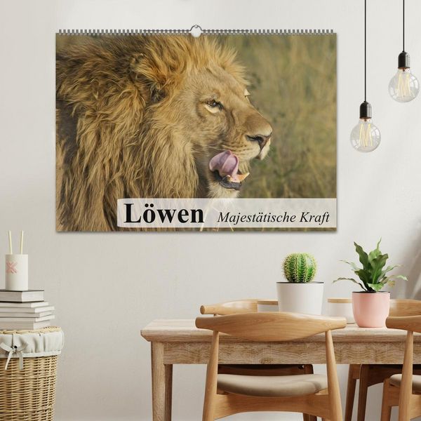 Produktbild: L&ouml;wen. Majest&auml;tische Kraft (Wandkalender 2026 DIN A2 quer), CALVENDO Monatskalender