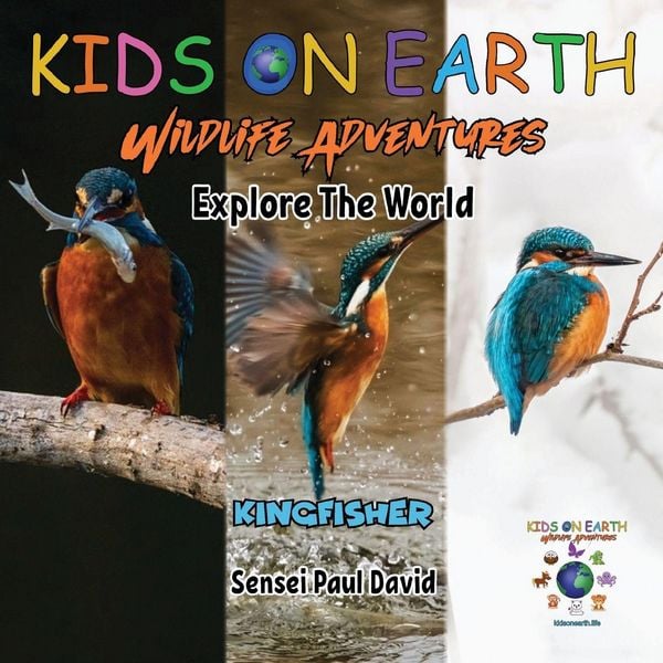 Produktbild: KIDS ON EARTH Wildlife Adventures - Explore The World Kingfisher - Madagascar