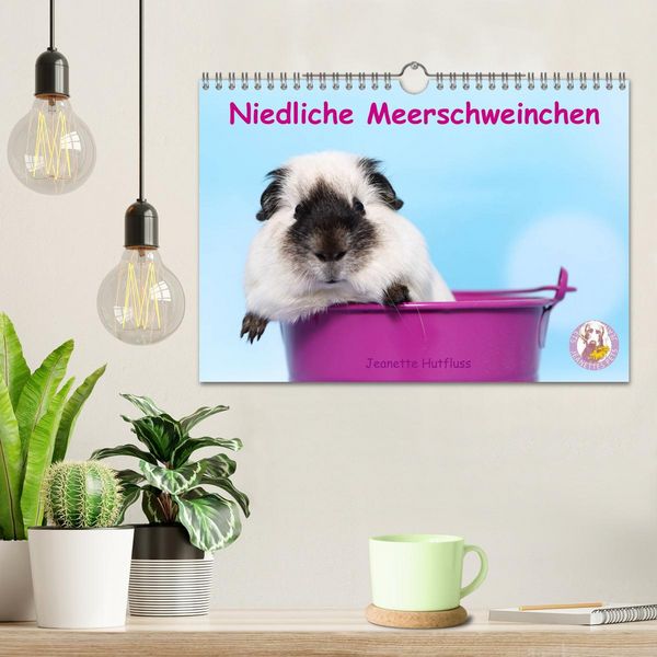 Produktbild: Niedliche Meerschweinchen (Wandkalender 2026 DIN A4 quer), CALVENDO Monatskalender