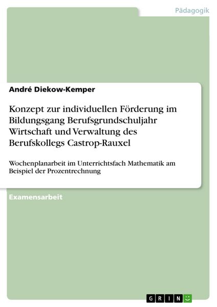 Produktbild: Konzept zur individuellen F&ouml;rderung im Bildungsgang Berufsgrundschuljahr Wirtschaft und Verwaltung des Berufskollegs Castrop-Rauxel