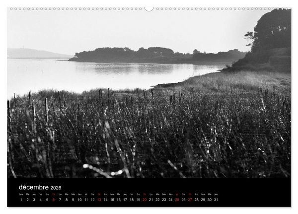 Produktbild: VIGNES DU SUD terroirs d'AOC (Calendrier mural 2026 DIN A2 vertical) calendrier de bureau