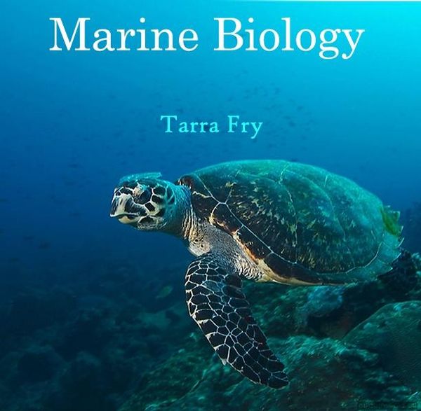 Produktbild: Marine Biology