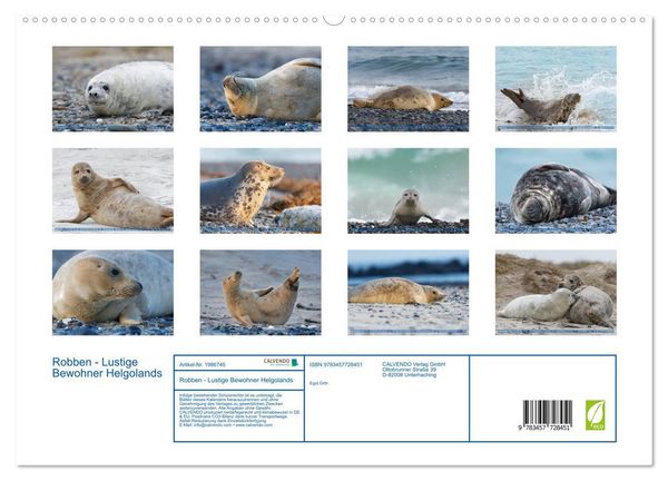 Produktbild: Robben - Lustige Bewohner Helgolands (hochwertiger Premium Wandkalender 2026 DIN A2 quer), Kunstdruck in Hochglanz