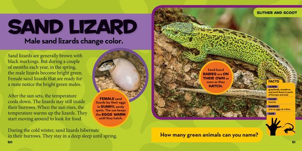 Produktbild: National Geographic Little Kids First Big Book of Reptiles and Amphibians