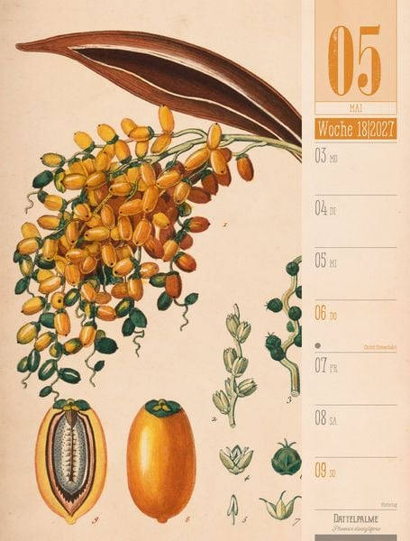 Produktbild: Culinarium Wochenplaner Kalender 2027 | K&uuml;che, Kr&auml;uter, Kurioses