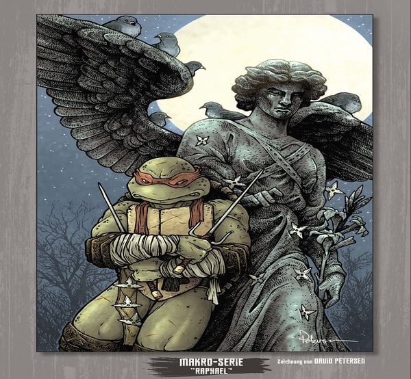 Produktbild: Teenage Mutant Ninja Turtles Splitter Collection 13