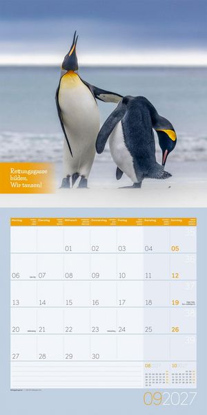 Produktbild: Keep Smiling Kalender 2027 - 30x30 - Art12