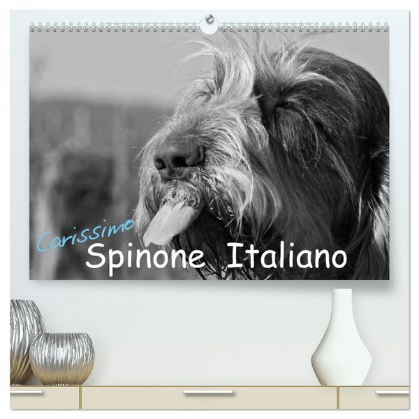 Produktbild: Carissimo Spinone Italiano (hochwertiger Premium Wandkalender 2026 DIN A2 quer), Kunstdruck in Hochglanz