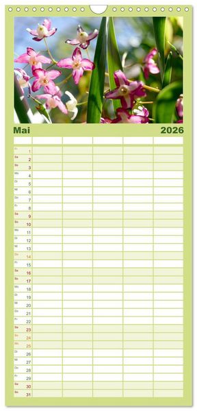 Produktbild: Familienplaner 2026 - Garten von unten. Ein Perspektivwechsel mit 5 Spalten (Wandkalender, 21 x 45 cm) CALVENDO